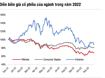 SSI Research: Các công ty thủy sản nguy cơ tăng trưởng lợi nhuận âm trong năm 2023