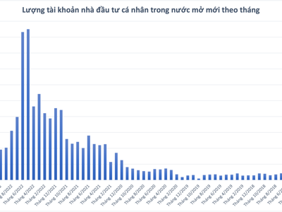 Miệt mài bán ròng nhưng cá nhân trong nước vẫn lập kỷ lục 2,6 triệu tài khoản mở mới 