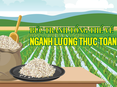 Bức tranh tổng thể về ngành lương thực toàn cầu