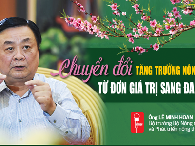 Chuyển đổi tăng trưởng nông nghiệp từ đơn giá trị sang đa giá trị