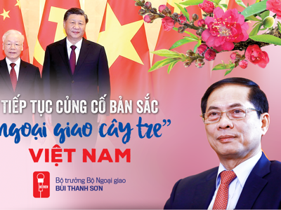 Tiếp tục củng cố bản sắc “ngoại giao cây tre” Việt Nam 