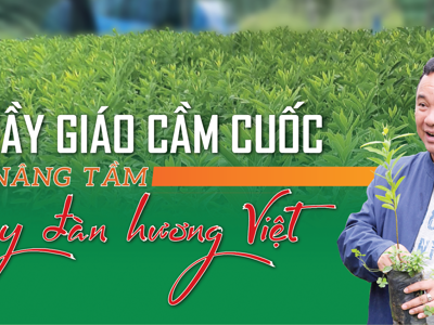 Thầy giáo cầm cuốc: Nâng tầm cây đàn hương Việt