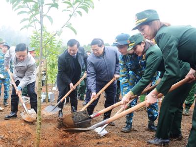 Khí thế sản xuất nông nghiệp, lâm nghiệp trong tháng đầu năm