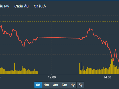 Cổ phiếu nhỏ đua kịch trần, VN-Index bốc hơi 14 điểm