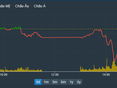 Xả lũ đột ngột, cổ phiếu rơi tự do, VN-Index bốc hơi 3,17% giá trị