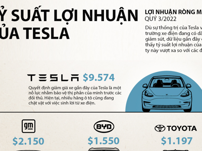 Tesla lãi bao nhiêu tiền từ mỗi xe điện bán được?