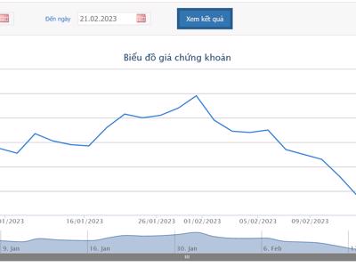 DXG muốn chuyển nhượng 16,6 triệu cổ phần của Sài Gòn Riverview cho Hội An Invest