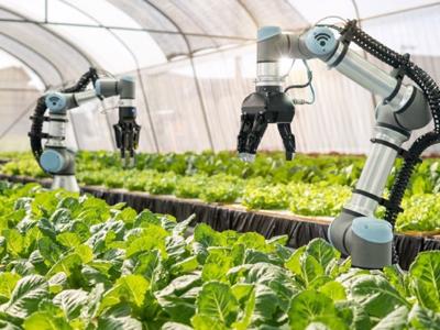 Xây dựng nền nông nghiệp bền vững không thể thiếu vai trò của khoa học công nghệ
