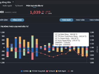 Tự doanh và khối ngoại không ngừng xả hàng, cá nhân tung gần 700 tỷ gom ròng