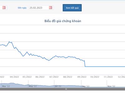 Lên UPCoM vào ngày 3/3 tới, cổ phiếu FLC lập tức vào diện đình chỉ giao dịch