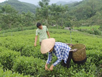 Việt Nam nỗ lực giảm nghèo đa chiều, nhưng phía trước vẫn còn nhiều thách thức