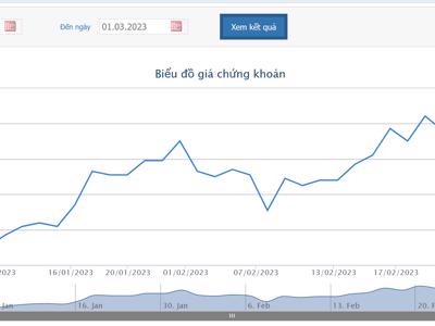 Thanh tra Bộ Tài chính tạm giữ 2,08 tỷ đồng của HSG để xử lý vi phạm hành chính thuế 