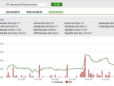Petrolimex muốn đấu giá toàn bộ 120 triệu cổ phiếu PG Bank, giá khởi điểm 21.300 đồng