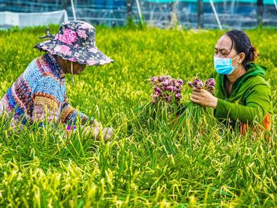 Thực hiện tốt công tác xóa đói, giảm nghèo qua lồng ghép các chương trình, dự án