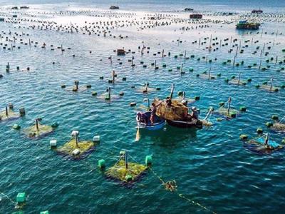 Vietnam & Norway boost cooperation in aquaculture