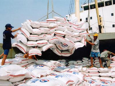 Xuất khẩu gạo của Việt Nam sẽ tăng cao do các nước đẩy mạnh dự trữ lương thực 