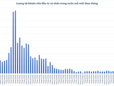 Vốn nội trỗi dậy, tài khoản cá nhân trong nước mở mới tăng mạnh trong tháng 2