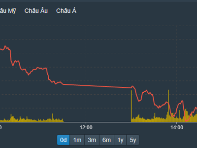 Nội ngoại cùng bán tháo, VN-Index bốc hơi 2,11%, ngưỡng 1.000 điểm gần kề