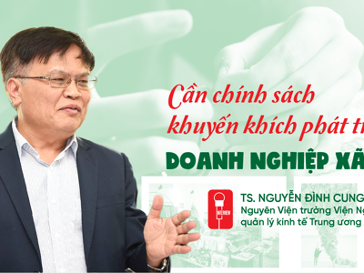 Cần chính sách khuyến khích phát triển doanh nghiệp xã hội