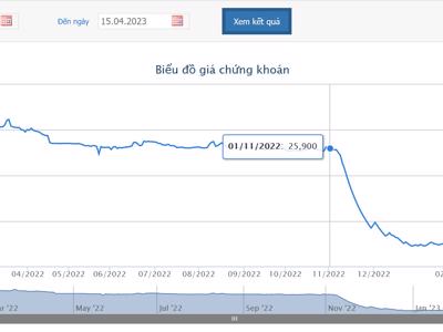 Bán "chui" 3,6 triệu cổ phiếu, vợ và em trai Chủ tịch HPX bị phạt gần 720 triệu đồng