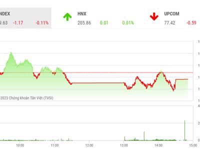 VN-Index sẽ rung lắc trong biên độ hẹp và chưa thể chấm dứt ngay