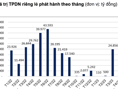 Không có doanh nghiệp nào phát hành trái phiếu riêng lẻ trong tháng 4/2023