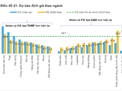 Giá cổ phiếu nhóm phi tài chính chưa hấp dẫn do lợi nhuận 2023 dự kiến giảm sâu