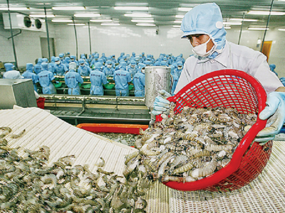 Xuất khẩu suy giảm: Ngành thủy sản trông chờ “một bệ đỡ”