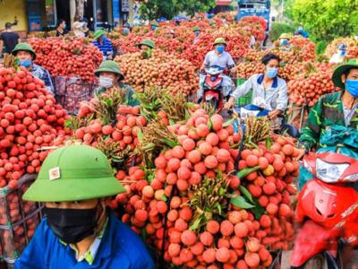  Xuất khẩu vải “hứa hẹn" nhiều thuận lợi