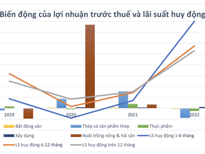 Lợi nhuận những ngành nào sẽ tăng đáng kể sau khi lãi suất điều hành giảm?   