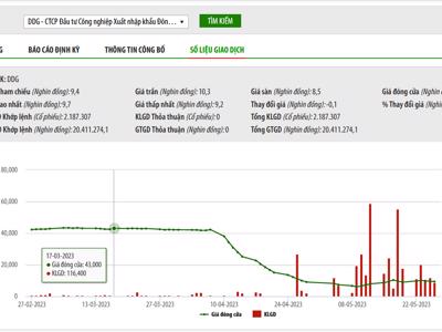 Lãnh đạo DDG và người nhà bị bán giải chấp hơn 2,7 triệu cổ phiếu