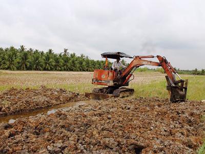 Hà Nội: Các quận, huyện, thị xã phải xử lý dứt điểm vi phạm về đất nông nghiệp