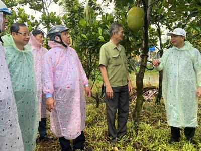 Cà Mau: Đa dạng hóa các mô hình sinh kế cho hộ nghèo