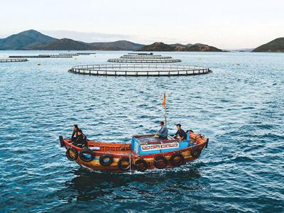 Tạo lập chính sách thu hút đầu tư vào nuôi trồng hải sản trên biển