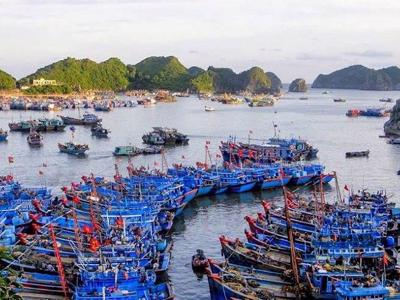 Sớm thành lập Cảng vụ Đường thủy nội địa khu vực V, quản lý hạ tầng, cảng bến thuỷ khu vực miền Trung