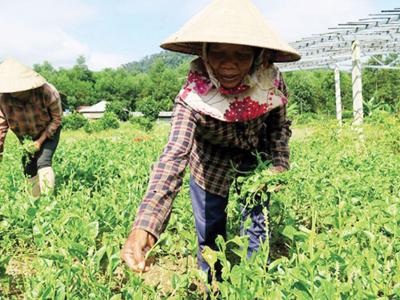 Thừa Thiên Huế đẩy nhanh tiến độ giải ngân vốn đầu tư các chương trình mục tiêu quốc gia