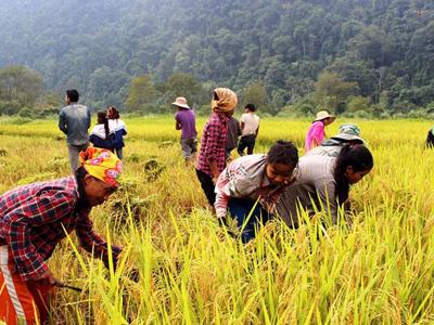 Hỗ trợ kinh phí thực hiện các dự án, mô hình giảm nghèo 