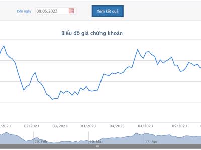 Cổ đông lớn của NVL bị bán giải chấp hơn 16 triệu cổ phiếu