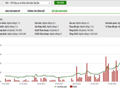 Giá tăng, Tập đoàn Hoàng Long muốn bán hết 5,5 vốn tại NED