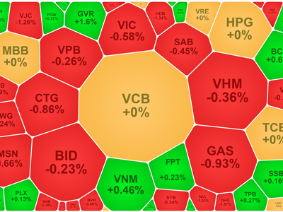 Dòng tiền “cố thủ”, blue-chips tụt giá, VN-Index đỏ