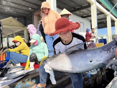 Quảng Ngãi đau đầu với hàng trăm tàu cá cứ ra khơi là “mất kết nối”