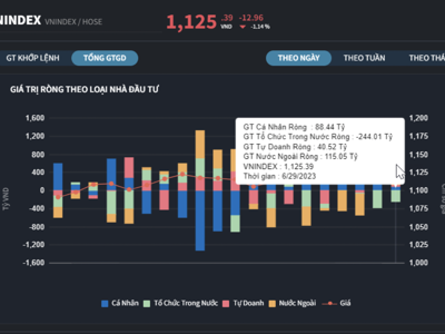 Dòng tiền cá nhân chững lại, chỉ còn mua ròng rất nhẹ 88 tỷ đồng trong phiên VN-Index "bay màu"