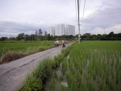 Năm huyện ngoại thành TP.HCM muốn lên thành phố do "vướng" tiêu chí lên quận