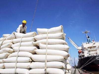 Xuất khẩu gạo đang rất “sáng”: Cần tăng cường hỗ trợ vốn cho doanh nghiệp