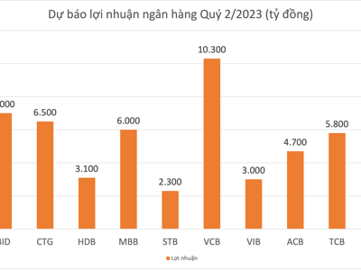 Điểm danh những ngân hàng tăng trưởng lợi nhuận tốt trong quý 2/2023