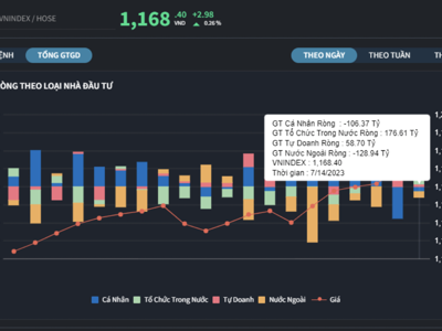 Nhà đầu tư cá nhân bắt đáy mạnh cổ phiếu STB trong phiên bán tháo