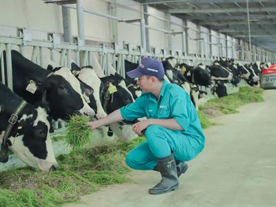 Israel bãi bỏ thuế nhập khẩu đối với mặt hàng sữa, cơ hội đẩy mạnh xuất khẩu cho Việt Nam 