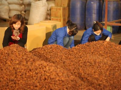 Tái diễn tình trạng lừa đảo xuất khẩu nông sản cho doanh nghiệp UAE, Bộ Công Thương khuyến cáo doanh nghiệp 