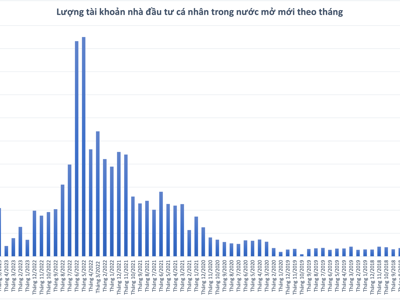 Số tài khoản cá nhân mở mới lại bùng nổ, cao nhất trong vòng 1 năm trở lại 