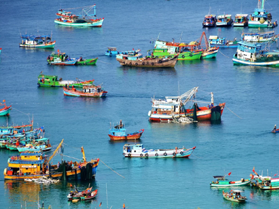 Việt Nam và Indonesia hợp tác thúc đẩy nghề cá biển, chống đánh bắt bất hợp pháp